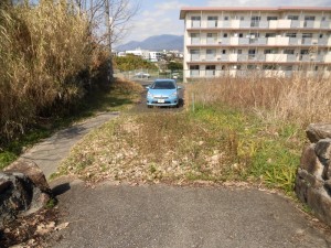 CIMG3349